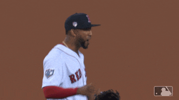 Game Win GIF by MLB