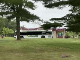 Ccri GIF by Community College of Rhode Island