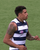 kelly afl GIF by geelongcats