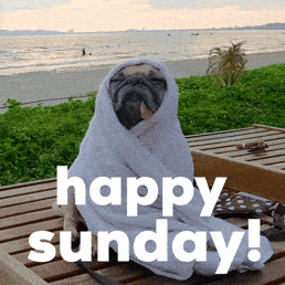 Happy Sunday Dog GIF by Sealed With A GIF