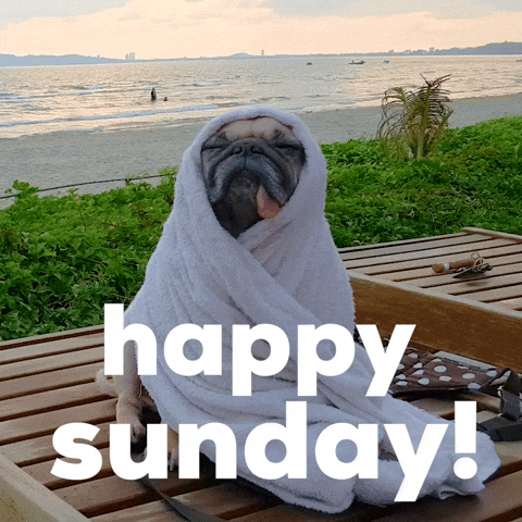 Video gif. Pug completely wrapped up in a white towel on a beach chair stares up with closed eyes and tongue out, really basking in the moment, as calm waves on a tropical beach roll in behind it. Text, "Happy Sunday!'