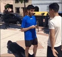 thief stealing GIF