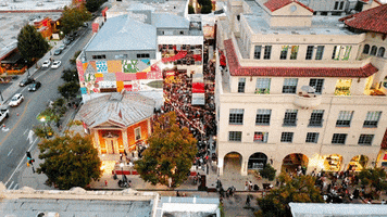 Santa Cruz Abbott GIF by Santa Cruz Museum of Art & History