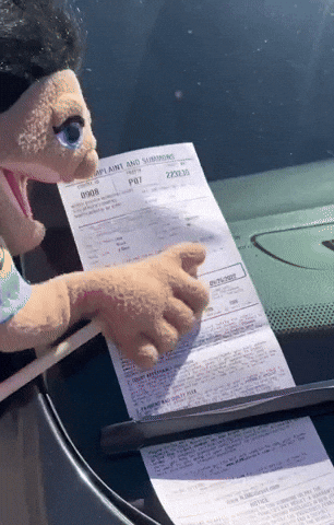 Parking Ticket GIF by HudPost