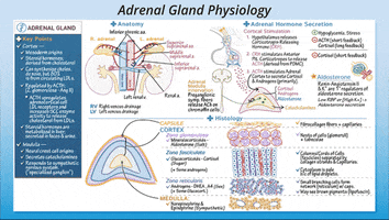 Ditki GIF by Draw it to Know it