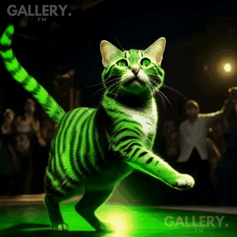 Dance Cat GIF by Gallery.fm