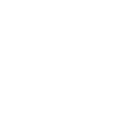 Skallywag Media Sticker