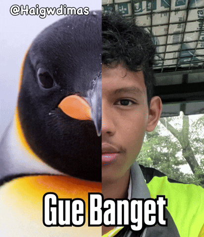 Penguin Mountain GIF