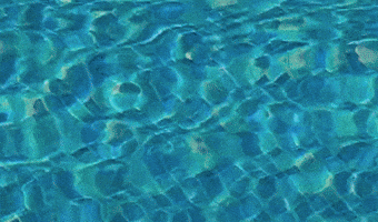 Pooldrömmar GIF