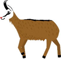 Región Vysoké Tatry Sticker