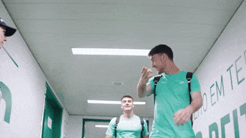 Scp GIF by Sporting CP