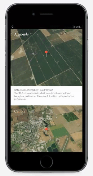 GIF by Instapage