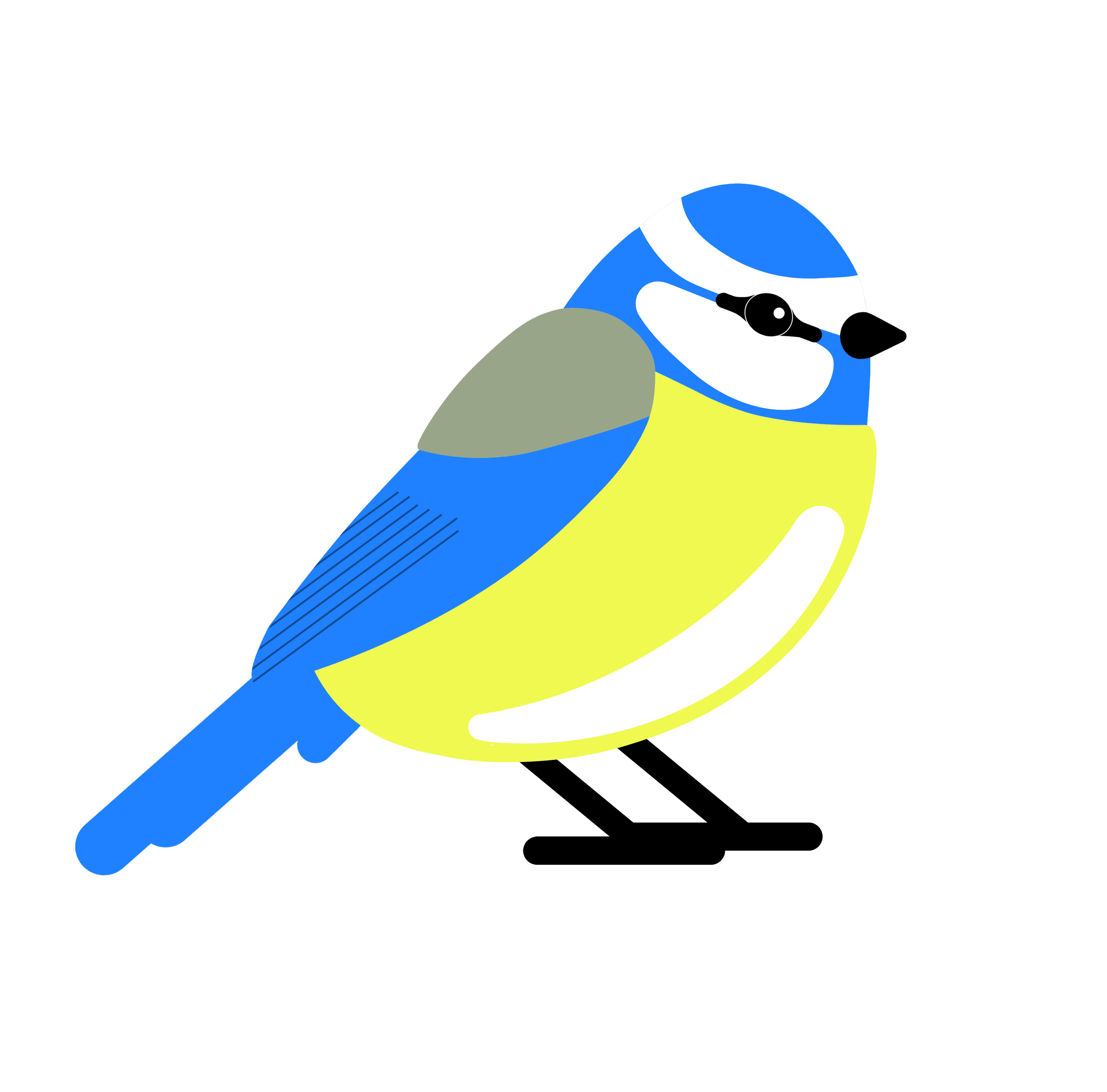 Bluebird Sticker by National Trust for iOS & Android GIPHY