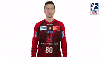 Handball-Bundesliga Handball GIF by LIQUI MOLY HBL