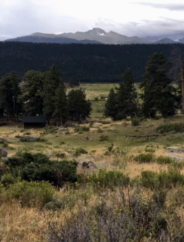 Rocky Mountains Rockies GIF by Chris