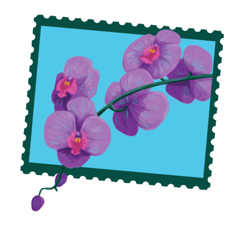 KasamaRum Sticker