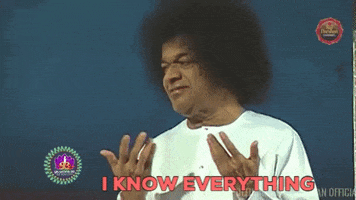 All Knowing Sathya Sai Baba GIF by Sai Young Messengers