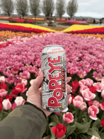 Energy Drink Peach GIF by Popeye Energy
