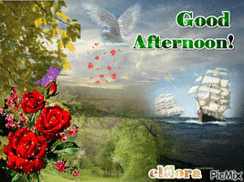 Goodafternoon GIFs - Get the best GIF on GIPHY