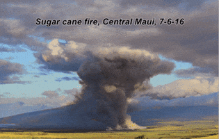 marywhisperingwind smoke environment pollution maui GIF