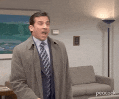 Season 4 No GIF by The Office