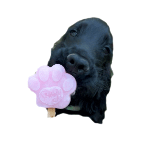 Dog Treats Eating Sticker by Smoofl