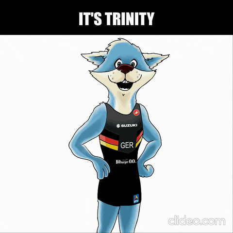 Trinity GIF by Triathlon
