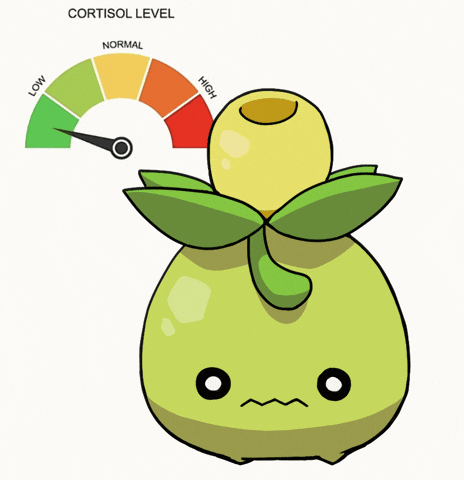 Pokemon Cortisol GIF