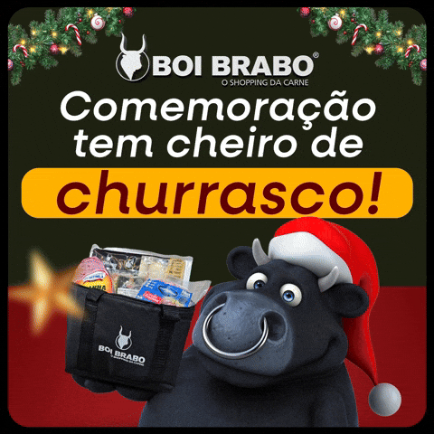 Fim De Ano GIF by Boi Brabo