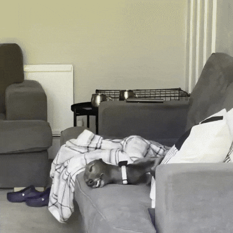 Tired Sleep GIF
