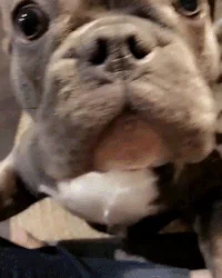 eyebleach GIF