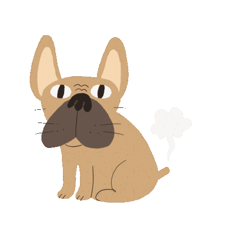 Animals GIFs on GIPHY - Be Animated