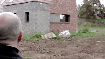 Andredarmanin Acteur Darmanin GIF