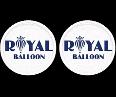 royalballoon balloon balloons royal hot air balloon GIF
