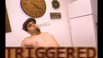 Triggered Trigger Offended Offensive Snowflake Snowflakes Ray William Johnson Raywilliamjohnson Rwj GIF by Ray William Johnson