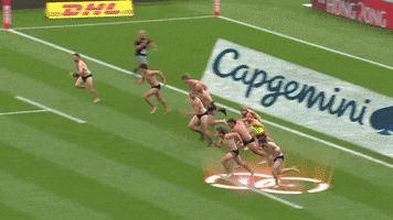Rugby Sevens Worldrugby2019Gifstoremove GIF by World Rugby