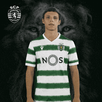 Quaresma GIFs - Find & Share on GIPHY