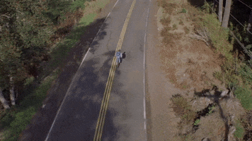 GIF by Paranoiia Productions