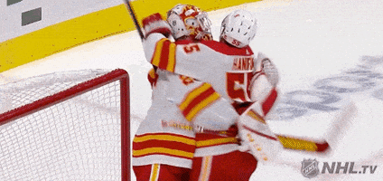 Ice Hockey Hug GIF by NHL