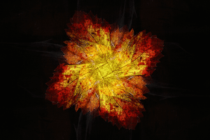 Monastrell Rotaciã³N GIF