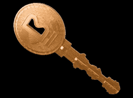 Bitcoin Chave GIF by Bithope