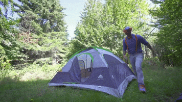 Fun Camping GIF by moonbug