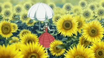 Yuuka Kazami GIF
