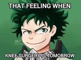 My Hero Academia That Feeling GIF
