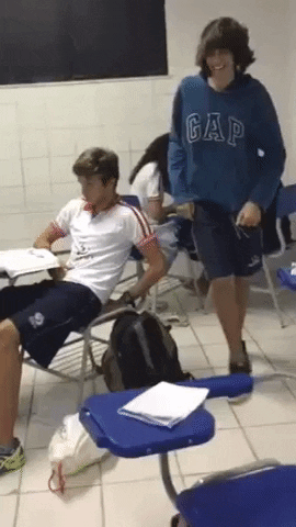 hart sarrada do estilo garca sarrada majestosa GIF