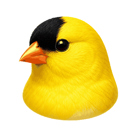 Sticker by Chirp & Maple