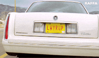 Better Call Saul GIF
