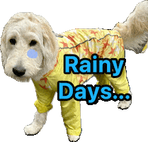 Dog Rain Sticker