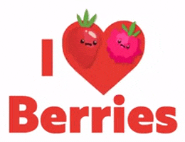 Berries Frutasvermelhas GIF by Berry House