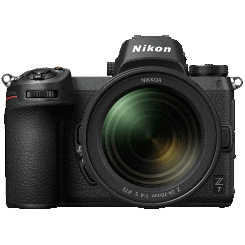 Fun Love Sticker by Nital